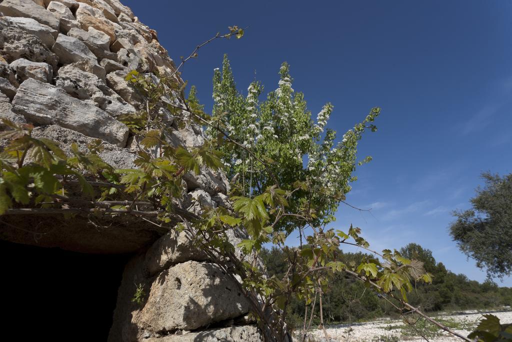 منزل الضيف مورتشانو دي ليوكا  في Borgo Del Sole المظهر الخارجي الصورة